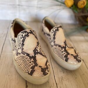 STEVE MADDEN GILL SNAKE PRINT SNEAKERS 9M